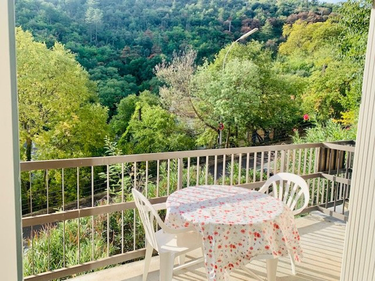 Studio 28 m² balcon sud, parking à 50 m des thermes - Photo 5