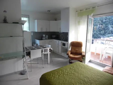 Location appartement à Amélie les Bains Palalda, Studio lumineux avec balcon et terrasse, animaux admis, parking sécurisé, proche des thermes