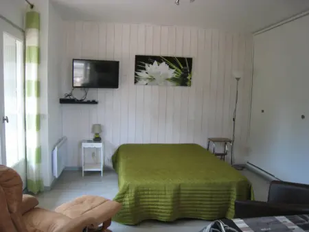 Studio 28m² balcon sud et terrasse 11m² à Amélie-les-Bains : photo 4