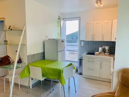 Studio 28m² balcon sud et terrasse 11m² à Amélie-les-Bains : photo 9