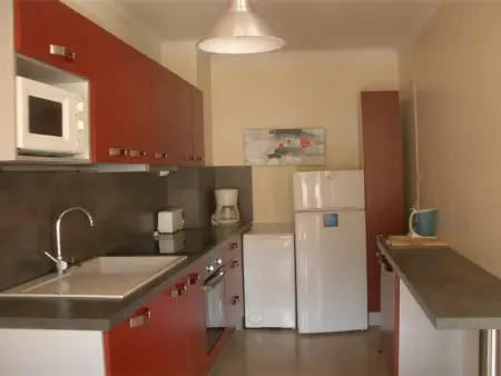 F2 terrasse Sud 12m² et parking à Amélie-les-Bains : photo 4