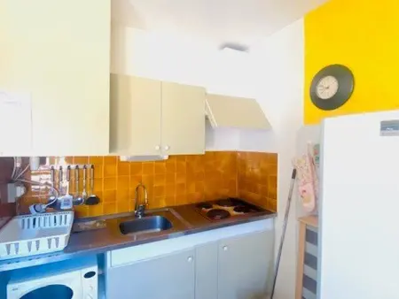 Studio climatisé 31m² à 50m des Thermes : photo 3