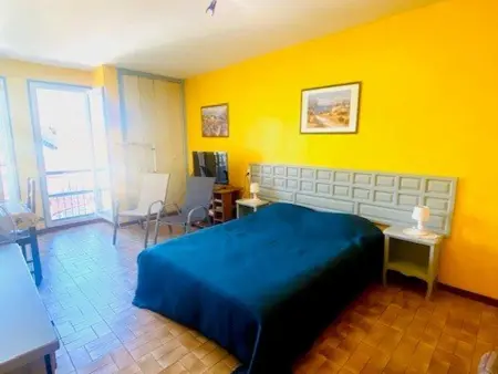 Studio climatisé 31m² à 50m des Thermes : photo 8