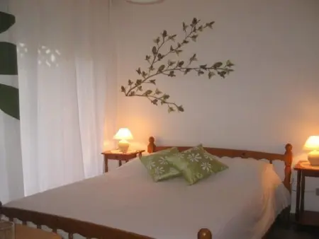 F2 climatisé 45m² avec balcon 15m², centre-ville Amélie-les-Bains : photo 5