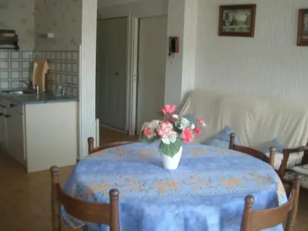 Charmant F1bis avec Balcon et Garage à 10min des Thermes - Amélie-les-Bains - Photo 1