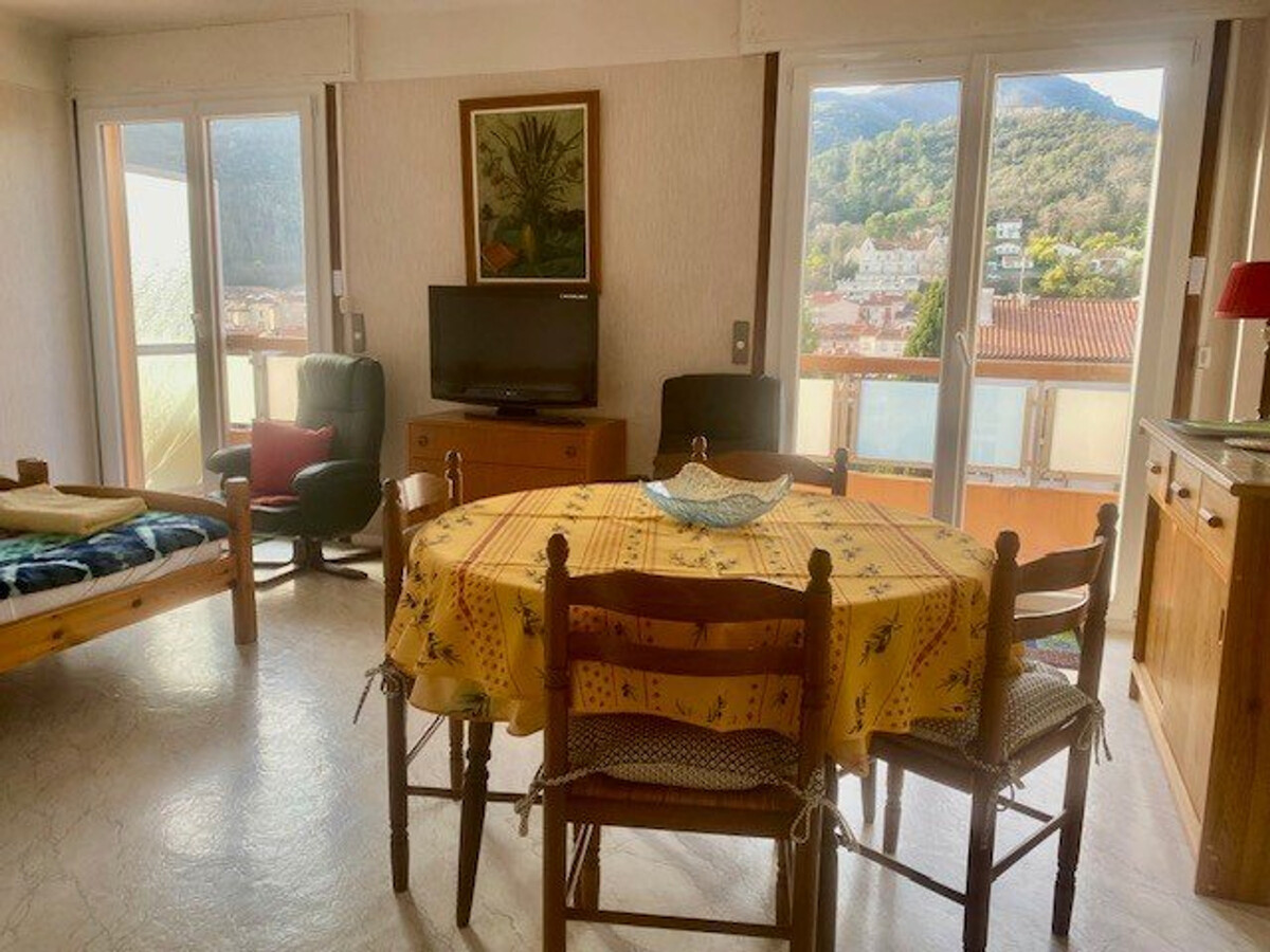 Studio 35m² avec terrasse, parking et wifi à Amélie-les-Bains - Photo 8