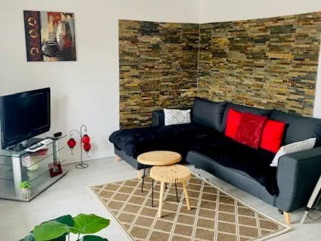 F3 climatisé 60 m² balcon sud, 400m centre-ville : photo 4