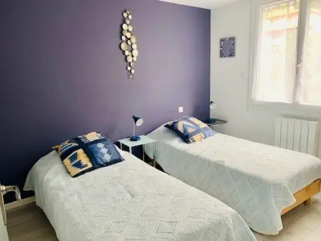 F3 climatisé 60 m² balcon sud, 400m centre-ville : photo 8