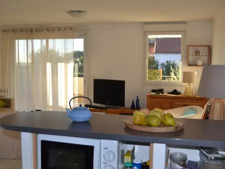 Appartement climatisé avec terrasse 21 m² à Mèze : photo 5