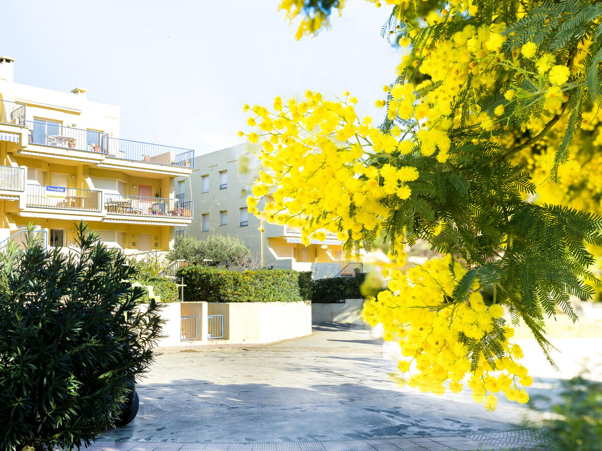 Appartement 4 pers. à 150m de la plage de Grifeu - Photo 22