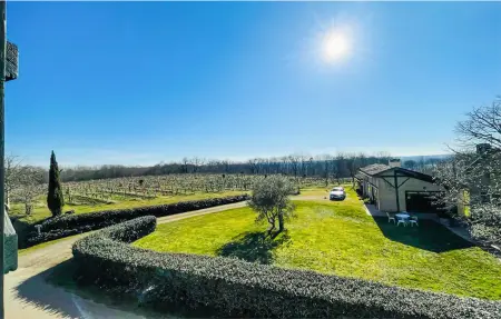 Appartement 70m² sur domaine viticole avec piscine : photo 7