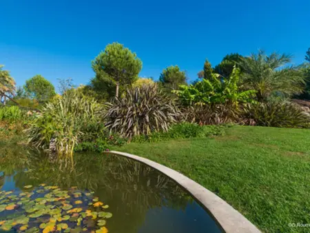 Appartement avec terrasse couverte et piscine à Saint-Raphaël : photo 19