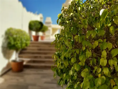 Appartement 2 chambres avec piscine sur le toit, Benalmádena : photo 2
