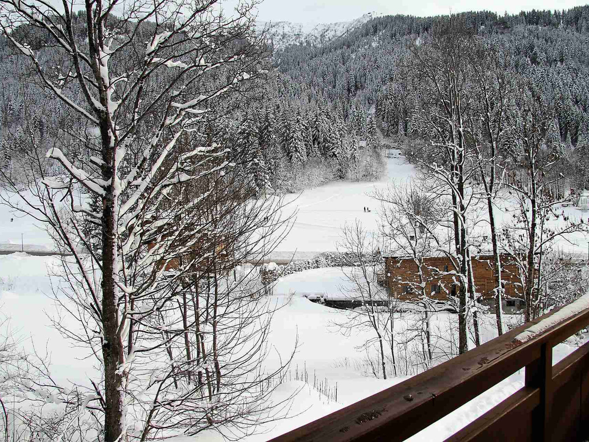 Appartement 3 pièces La Clusaz, balcon sud et garage - Photo 8
