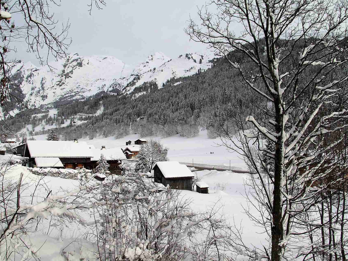 Appartement 3 pièces La Clusaz, balcon sud et garage - Photo 9