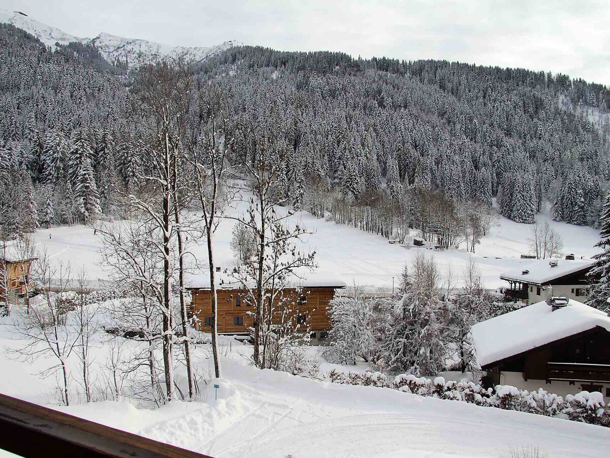 Appartement 3 pièces La Clusaz, balcon sud et garage - Photo 10