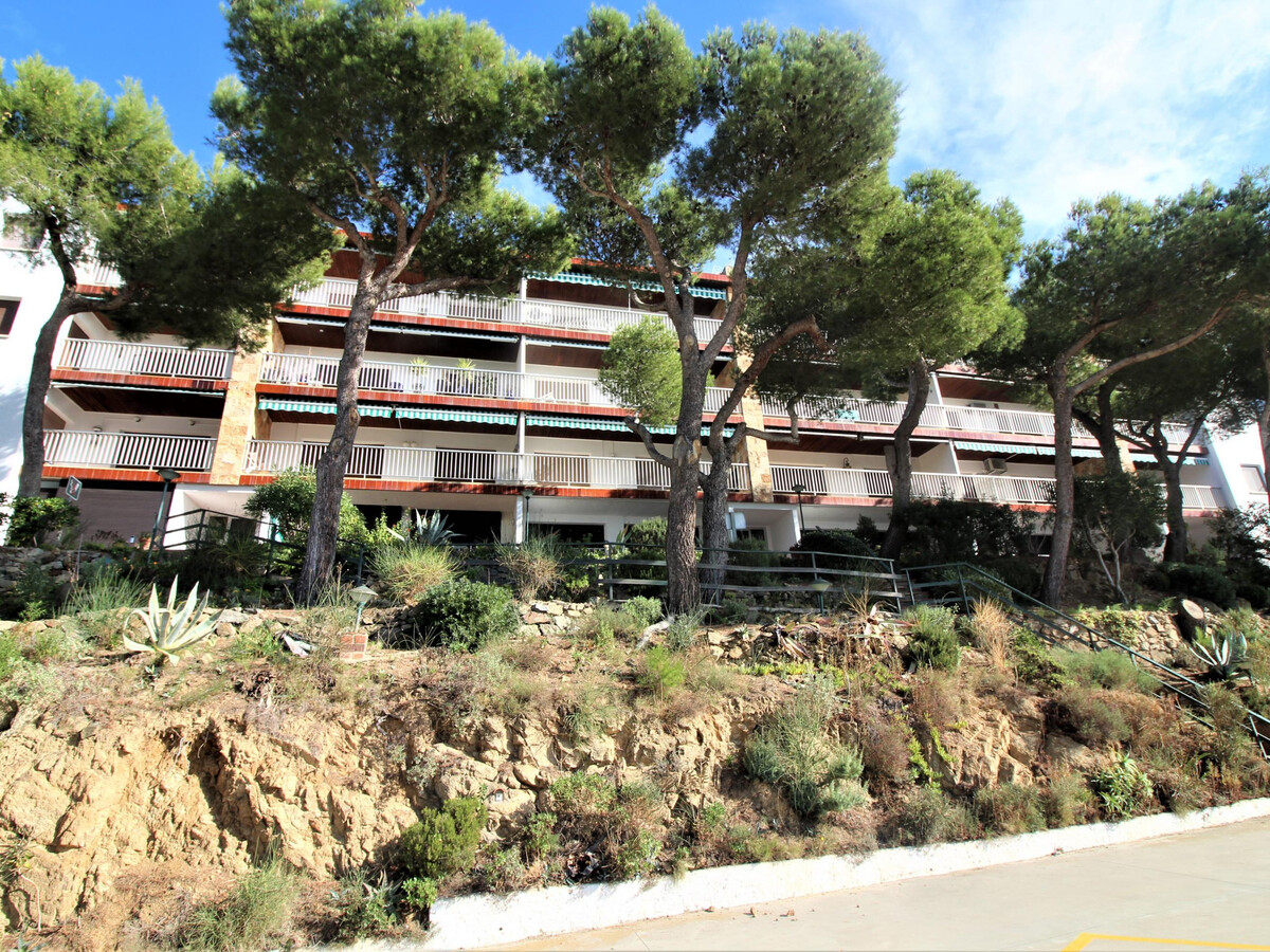 Corsario - Appart 3 ch, terrasse mer, 1 min plage Almadrava - Photo 28