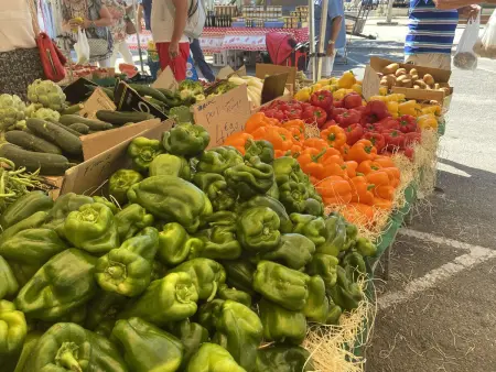 Studio cabine 4 couchages à 200m de Port Fréjus : photo 20