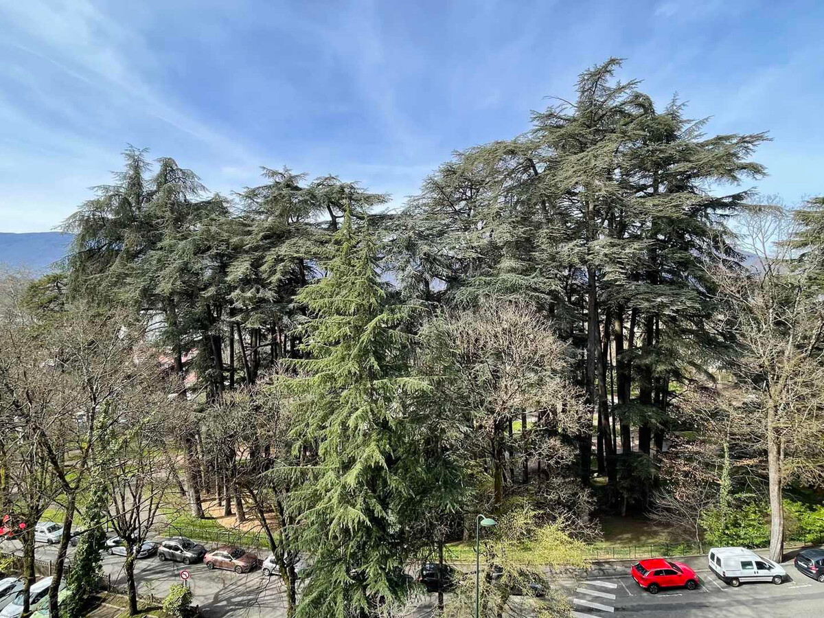 Studio 53m² centre-ville Aix-les-Bains, balcon Sud-Ouest - Photo 14