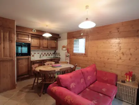 Location appartement à Les Carroz d'Arâches, Appartement 3 pièces cabine, 6 pers, face au spa et au ski bus, proche pistes et commodités