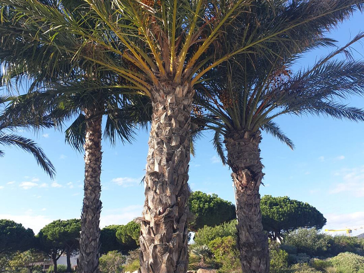 T2 Favière 25m² – Plage à proximité, parking inclus - Photo 13