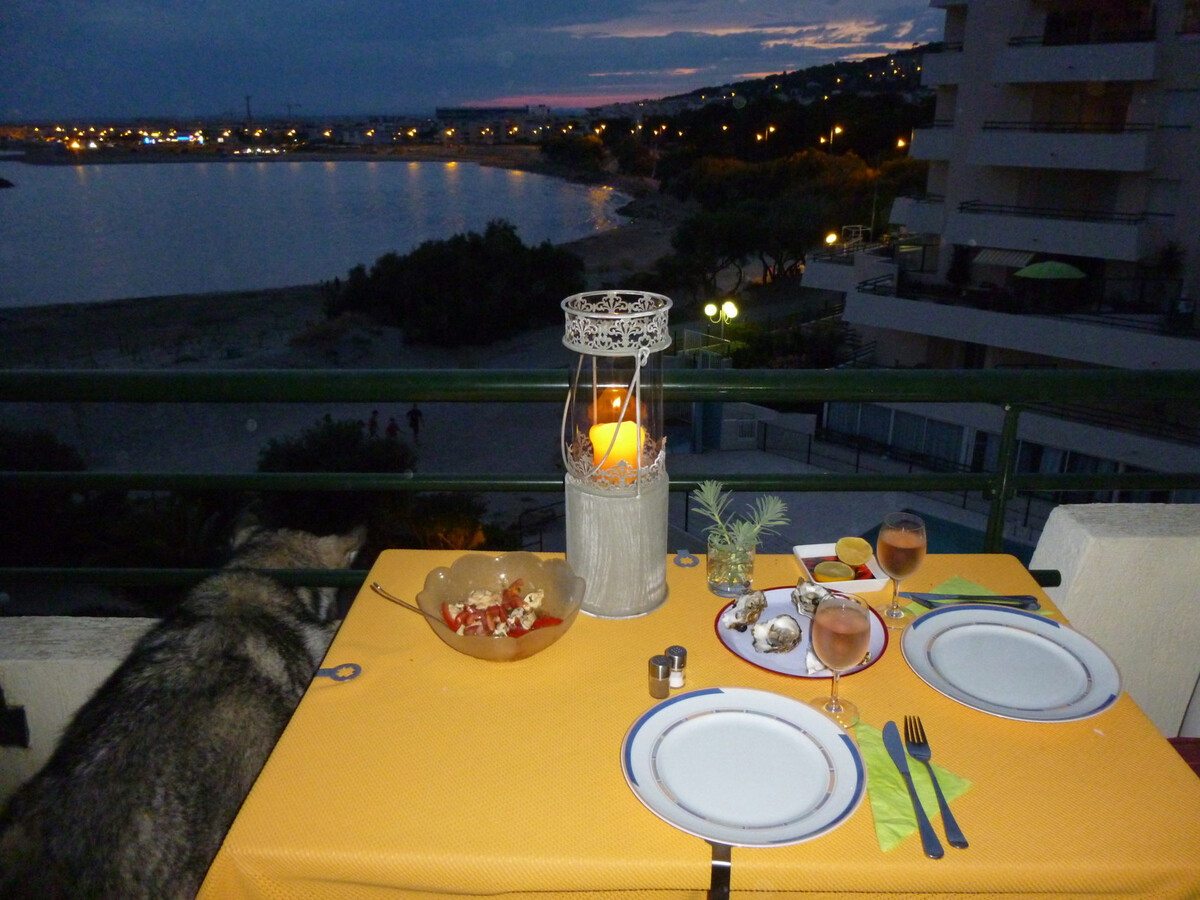 Appartement climatisé front de mer à Sète avec accès plage - Photo 7