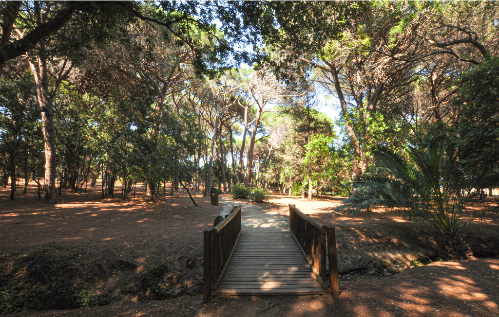 Appartement 4 pers. à 300 m de la plage, Sainte-Maxime - Photo 13