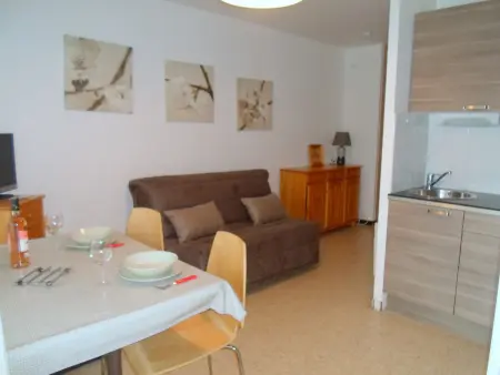 Location appartement à Balaruc les Bains, Appartement cosy avec terrasse et animaux admis à Balaruc-les-Bains