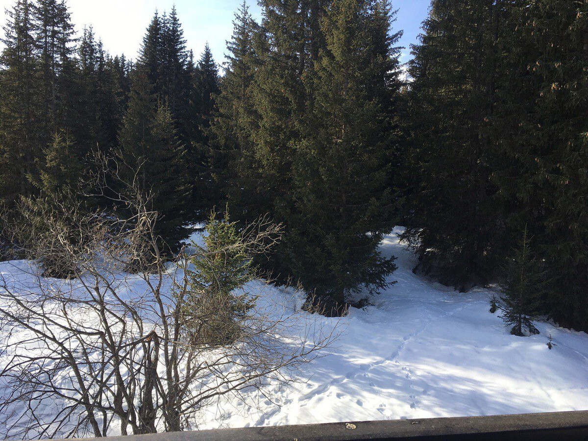 Appartement 3 pièces Jardin Alpin, ski aux pieds à Courchevel - Photo 9