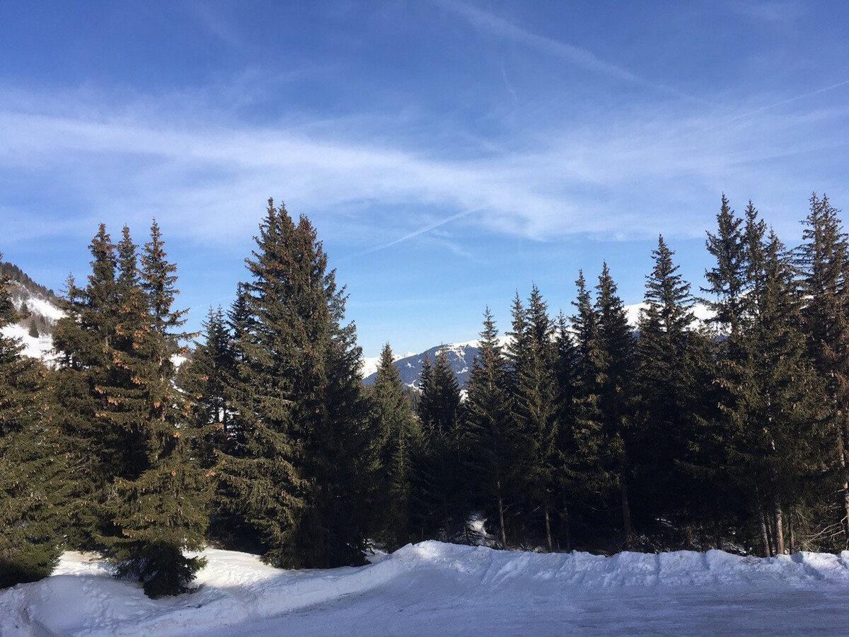 Appartement 3 pièces Jardin Alpin, ski aux pieds à Courchevel - Photo 10