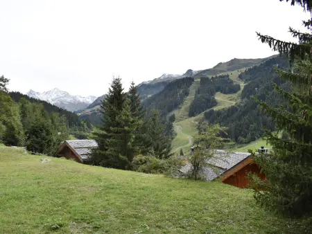 Appartement 3 chambres accès direct pistes à Méribel : photo 24