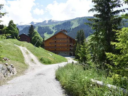 Appartement 3 chambres accès direct pistes à Méribel : photo 29