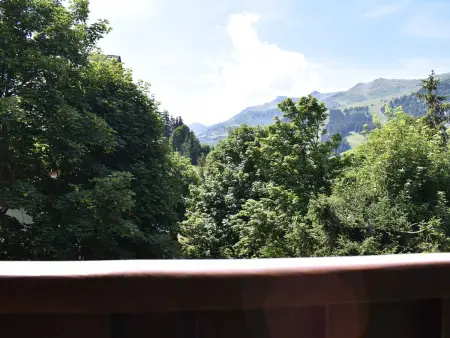 Studio 4 pers Méribel - Skis aux pieds, piscine, balcon sud : photo 13