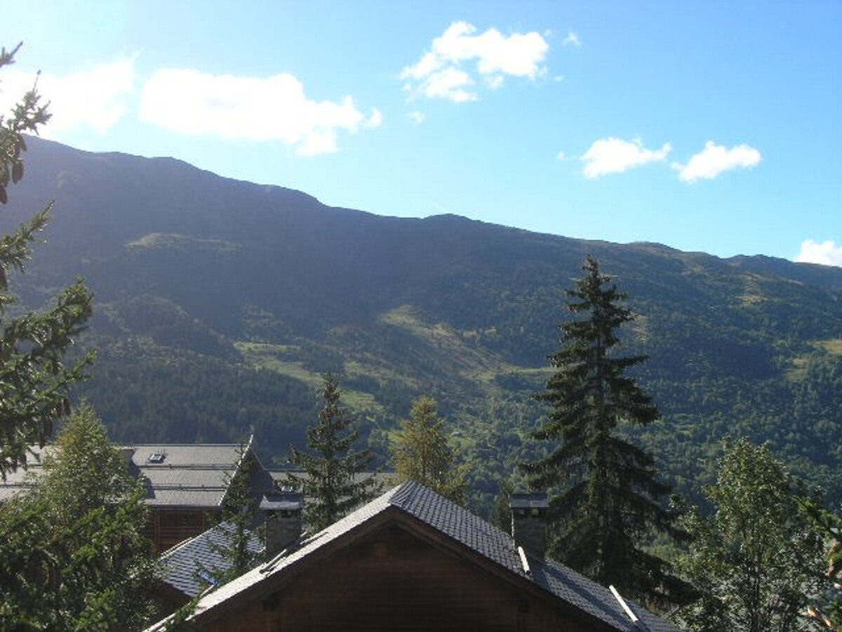 Appartement 2 pièces à 300m des pistes, Méribel - Photo 14