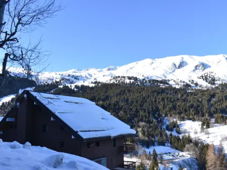 Studio 4 pers, balcon sud, 300m des pistes à Méribel : photo 6