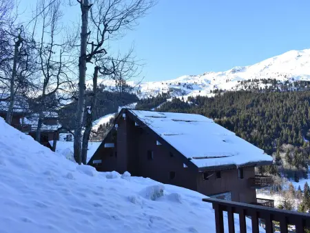 Studio 4 pers, balcon sud, 300m des pistes à Méribel : photo 7