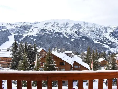 Appartement 2 pièces Méribel, 150m des pistes : photo 17