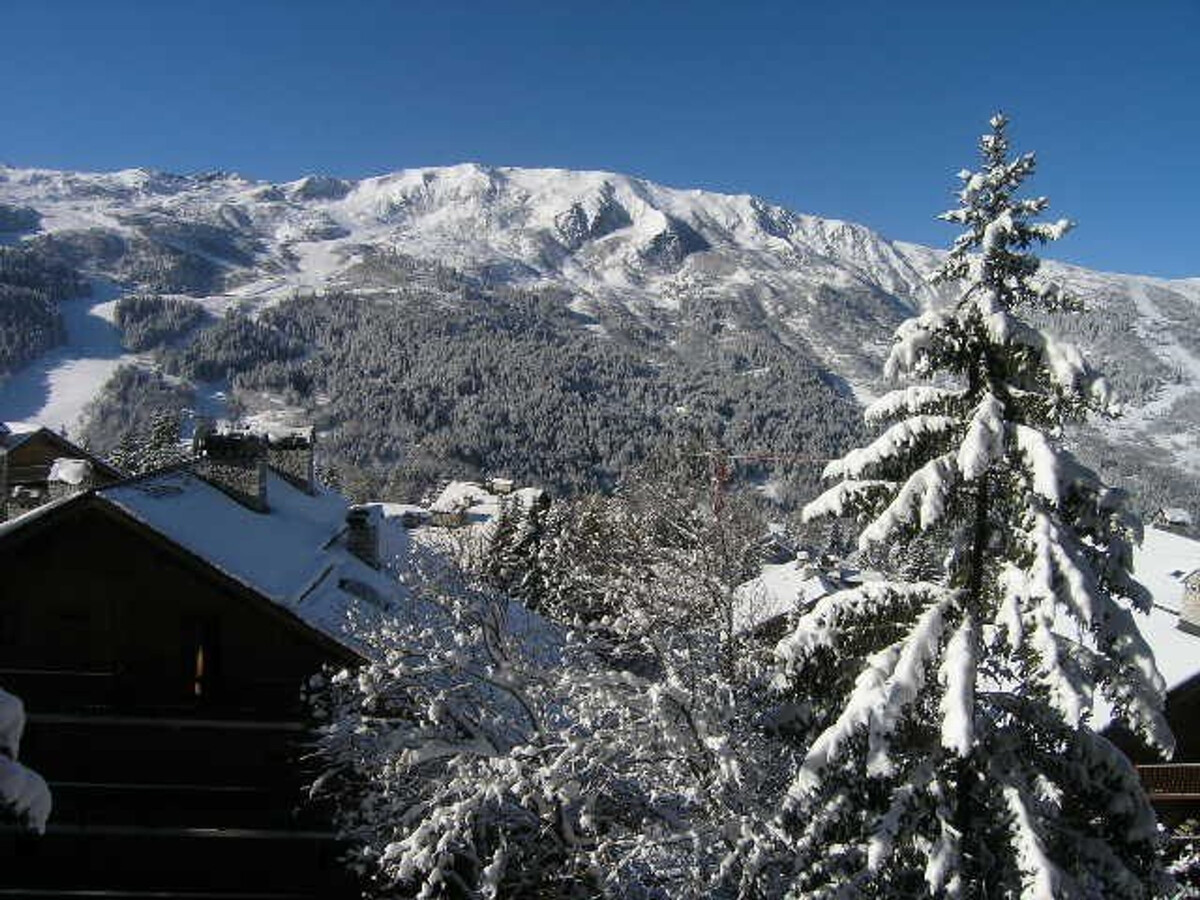 Appart 2 pièces animaux admis, 100 m pistes Méribel - Photo 25