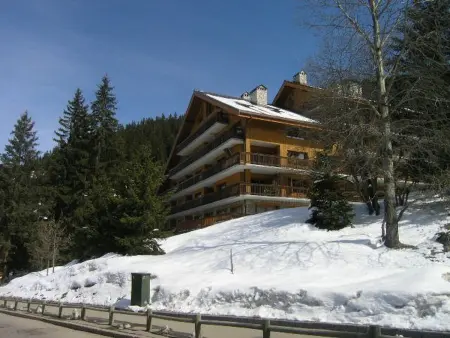 Studio 4 pers. à 100m des pistes, Méribel : photo 19