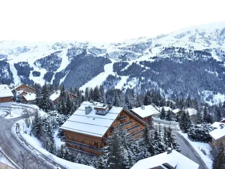 Appartement 5 pers à Méribel, 300m des pistes, parking : photo 18