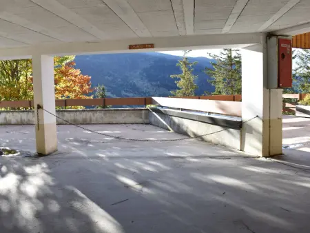 Appartement 5 pers à Méribel, 300m des pistes, parking : photo 24