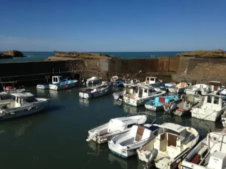 Studio front de mer avec balcon et piscine à Biarritz : photo 15
