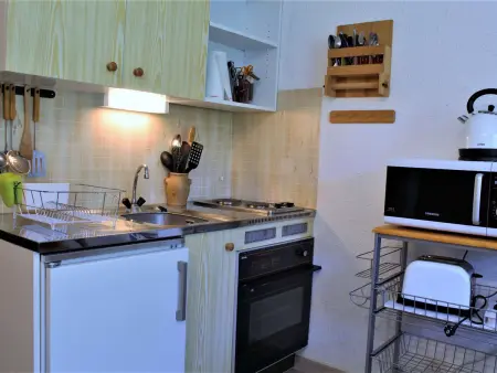 T2 Risoul 1850 : balcon sud, parking gratuit, navette : photo 7