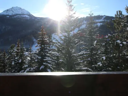 Appartement 6 pers. balcons sud, navette gratuite à Saint-Chaffrey : photo 18