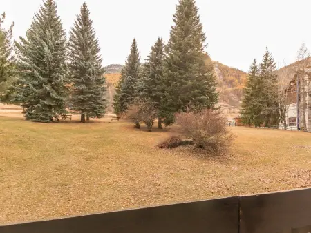 Studio ski-in/ski-out 4 pers., piscine et jardin : photo 10