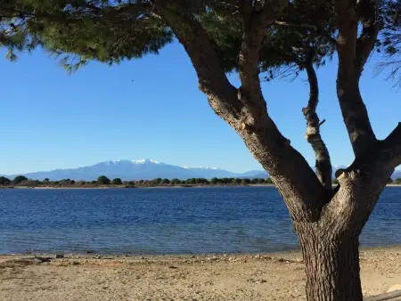 Appartement 4 pers face au Lac, Port Leucate : photo 4