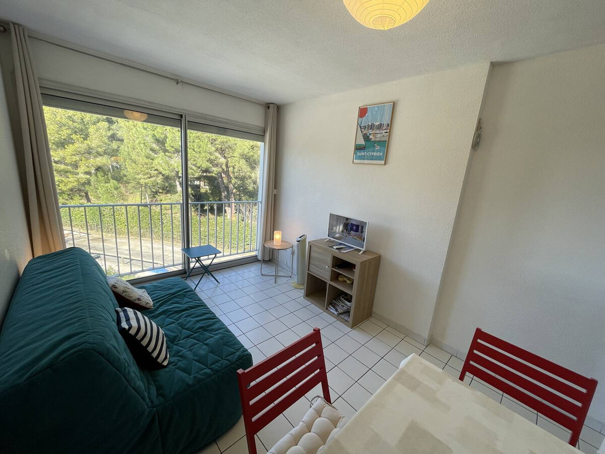 Studio cabine 4 pers sur le port, plage 700m, animaux OK - Photo 6