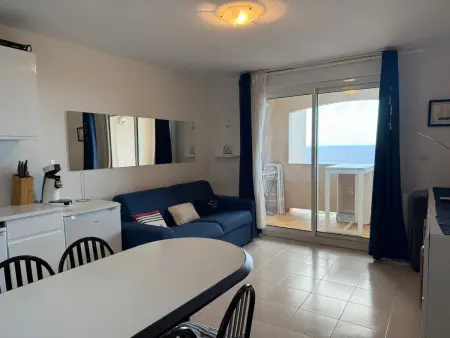 Appartement face à la mer à Banyuls, terrasse couverte : photo 10