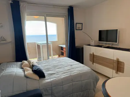 Appartement face à la mer à Banyuls, terrasse couverte : photo 12