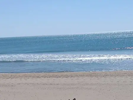 Location appartement à Marseillan Plage